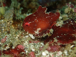 P6265079.JPG