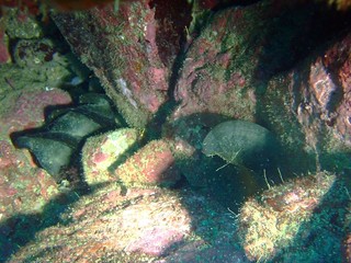 P6273436.JPG