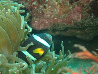 P6273439.JPG