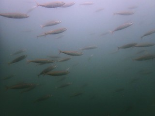 P6273447.JPG