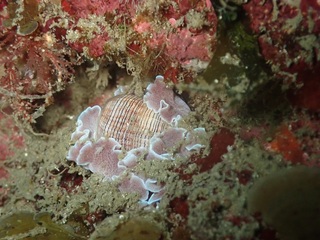 P6283472.JPG