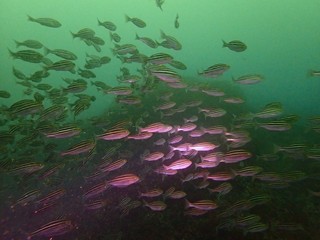 P6283493.JPG