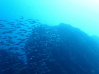 P6296229.JPG