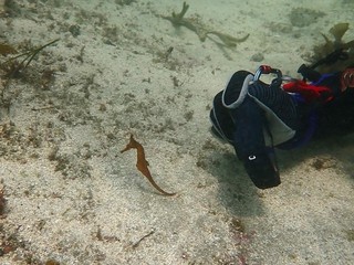 P7109889.JPG