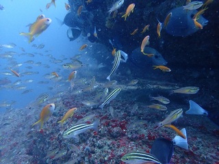 P7200025.JPG