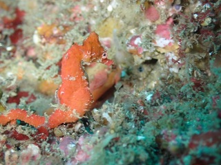 P7200029.JPG