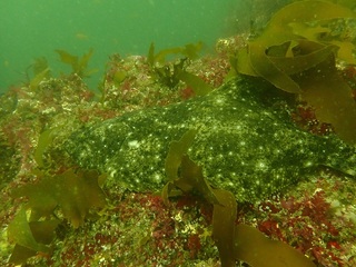 P7293746.JPG