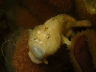 P7300941.JPG