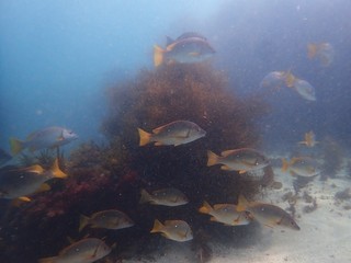 P8040302.JPG