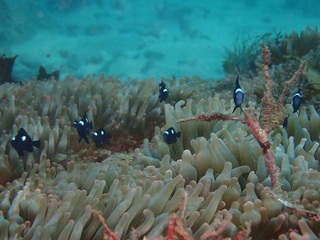 P8042974.JPG