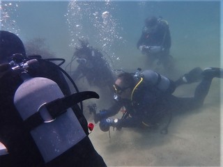 P8232953.JPG