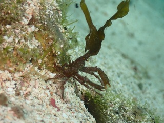 P8249235_1.JPG