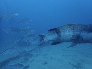 P8284272.JPG