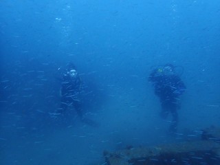 P8284310.JPG