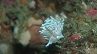 P8290043.JPG