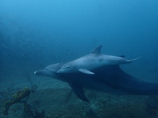 P8304378.JPG