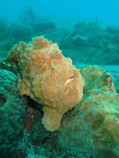 P8304411.JPG