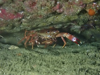 P8309447.JPG