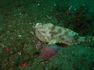 P9200031.JPG
