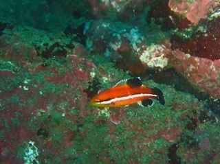 P9200038.JPG