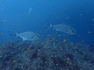P9220644.JPG