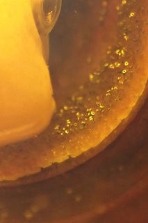 P9259876.JPG