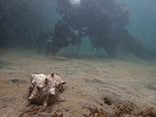 P9259900.JPG