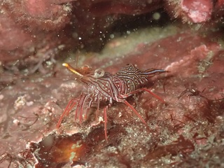 P9275147.JPG