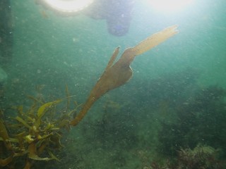 P9305221.JPG
