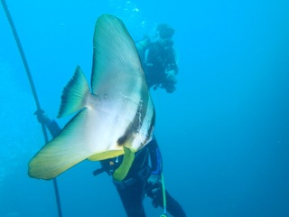 PA201117.JPG