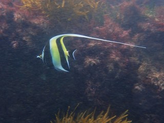 PA245713.JPG