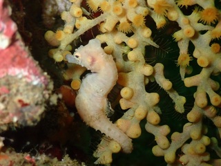 PA250508.JPG