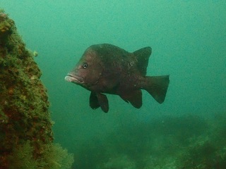 PA253366.JPG