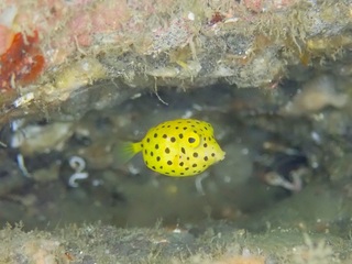PA253444.JPG