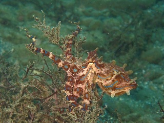 PA255723.JPG