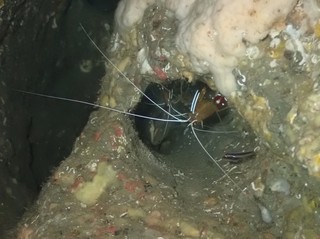 PA265752.JPG