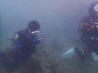 PA275785.JPG