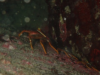 PA275845.JPG