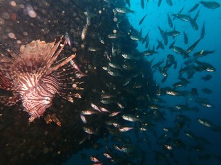 PA305792.JPG