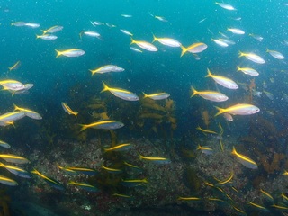 PA313057.JPG
