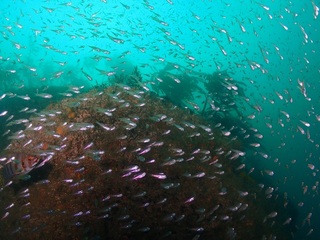 PA313134.JPG