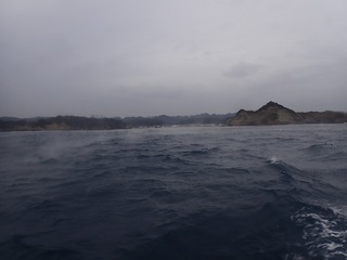 PB206386.JPG