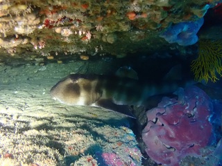 PB210767.JPG