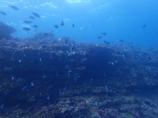 PB210774.JPG