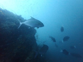 PB216419.JPG