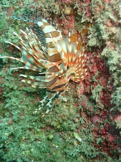 PB230803.JPG