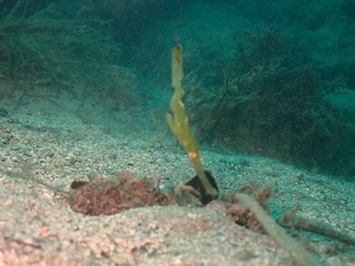 PB230807.JPG