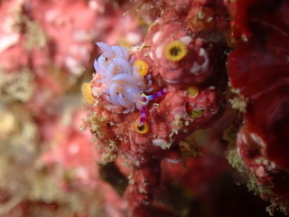 PB230814.JPG
