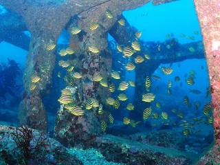PB243108.JPG