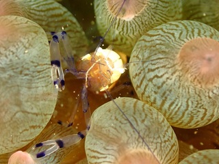 PB244840.JPG